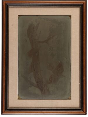 Havell copper plate — SOLD